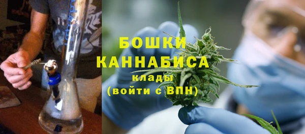 индика Богородицк