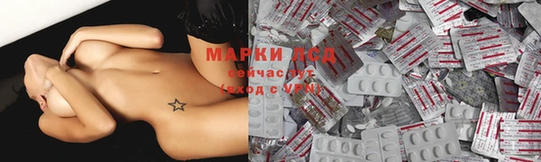 индика Богородицк