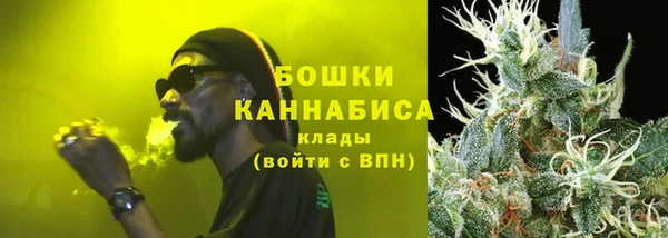 ГАЛЛЮЦИНОГЕННЫЕ ГРИБЫ Богданович