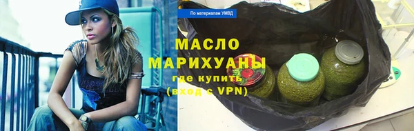 индика Богородицк