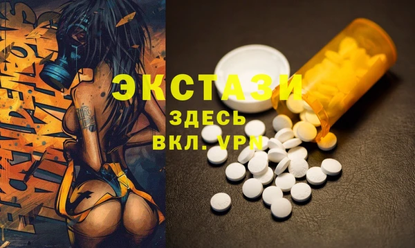 гашик Богородск