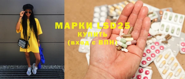 ГАЛЛЮЦИНОГЕННЫЕ ГРИБЫ Богданович