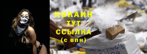 индика Богородицк