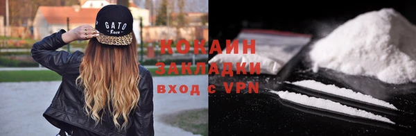 индика Богородицк