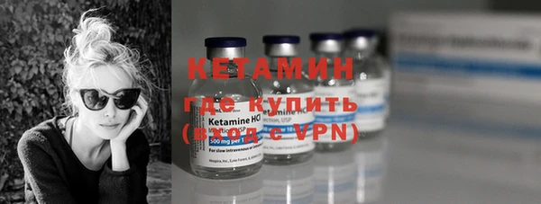 индика Богородицк
