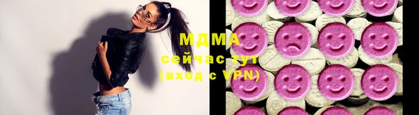 индика Богородицк