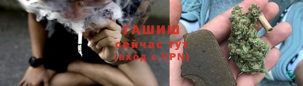 индика Богородицк