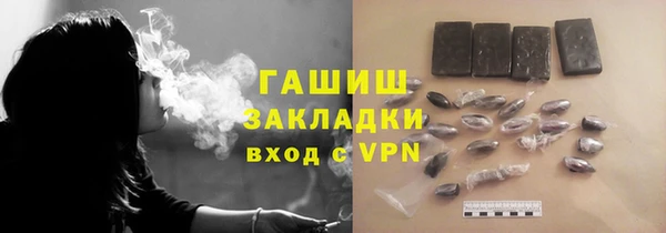 индика Богородицк