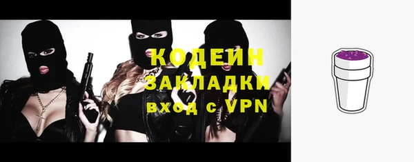 индика Богородицк