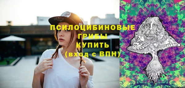 гашик Богородск