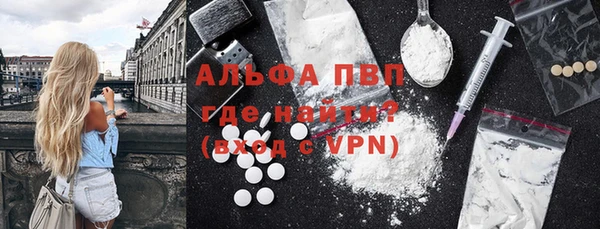 ГАЛЛЮЦИНОГЕННЫЕ ГРИБЫ Богданович