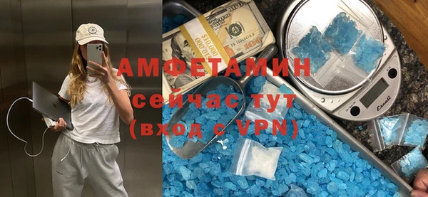 ГАЛЛЮЦИНОГЕННЫЕ ГРИБЫ Богданович