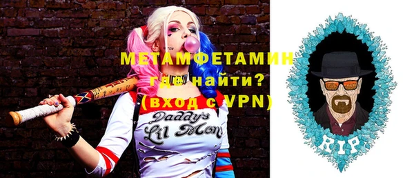 индика Богородицк