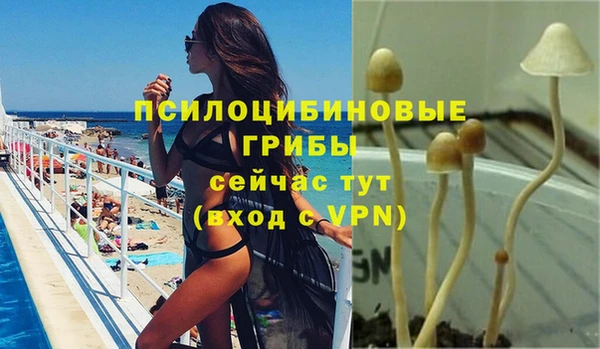 гашик Богородск