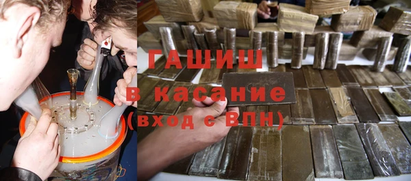 индика Богородицк