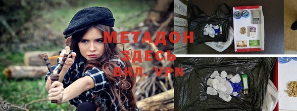 индика Богородицк