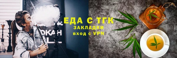 индика Богородицк