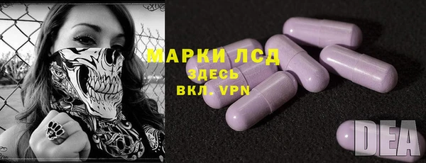 ГАЛЛЮЦИНОГЕННЫЕ ГРИБЫ Богданович