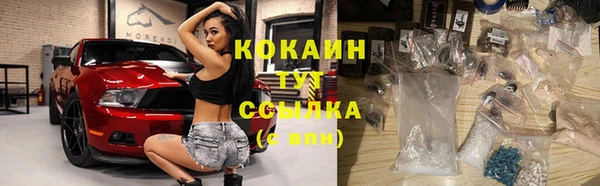 ГАЛЛЮЦИНОГЕННЫЕ ГРИБЫ Богданович